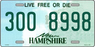 NH license plate 3008998