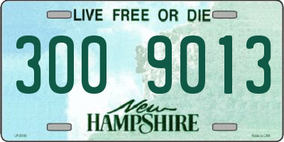 NH license plate 3009013