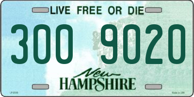 NH license plate 3009020