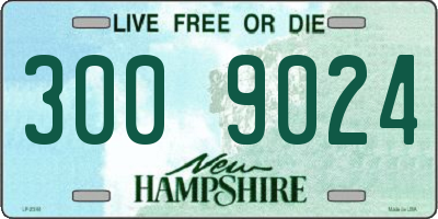 NH license plate 3009024