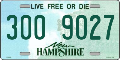 NH license plate 3009027