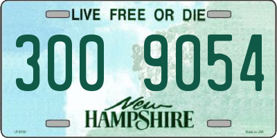 NH license plate 3009054