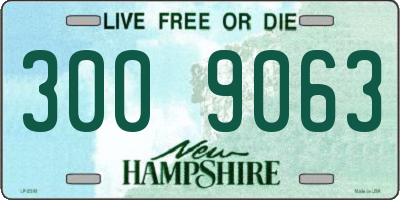 NH license plate 3009063