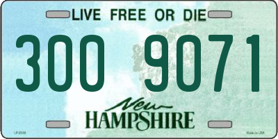NH license plate 3009071
