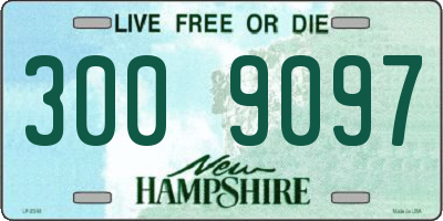 NH license plate 3009097