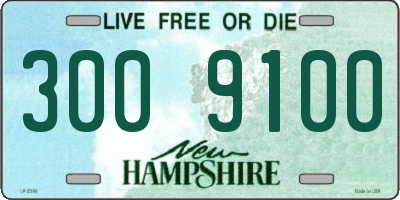 NH license plate 3009100