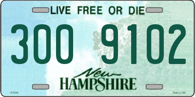 NH license plate 3009102