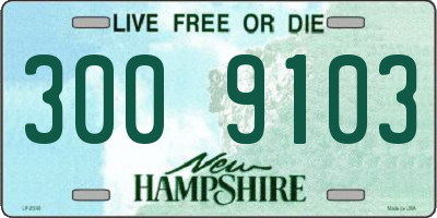 NH license plate 3009103
