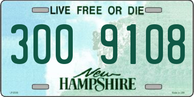 NH license plate 3009108