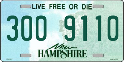 NH license plate 3009110