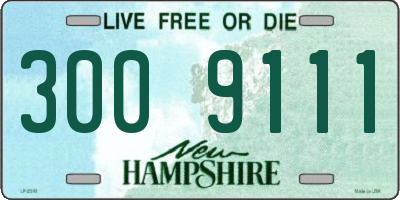 NH license plate 3009111