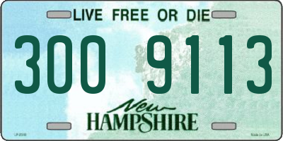 NH license plate 3009113