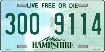 NH license plate 3009114