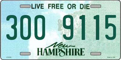NH license plate 3009115