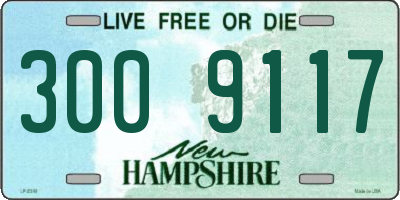 NH license plate 3009117