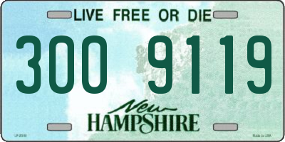 NH license plate 3009119