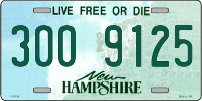 NH license plate 3009125