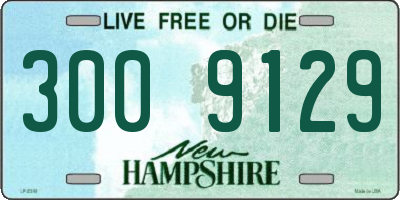 NH license plate 3009129