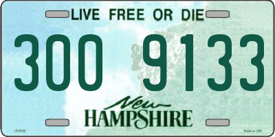 NH license plate 3009133