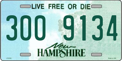 NH license plate 3009134
