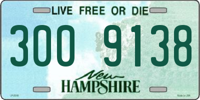 NH license plate 3009138