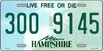 NH license plate 3009145