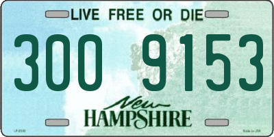 NH license plate 3009153