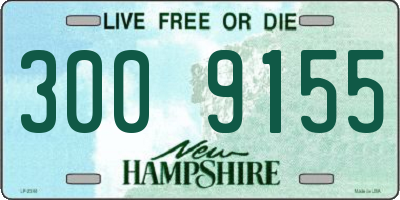 NH license plate 3009155