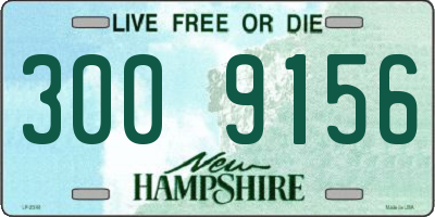 NH license plate 3009156