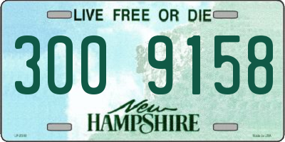 NH license plate 3009158