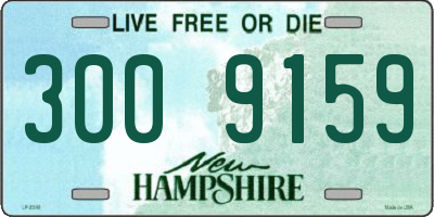 NH license plate 3009159