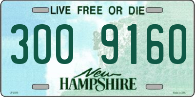 NH license plate 3009160