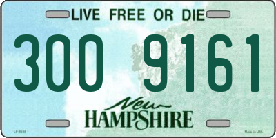 NH license plate 3009161