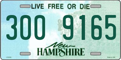 NH license plate 3009165