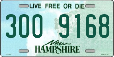 NH license plate 3009168