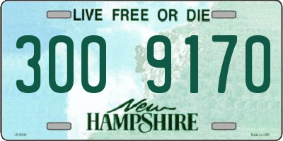 NH license plate 3009170