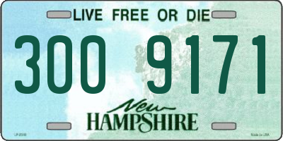 NH license plate 3009171