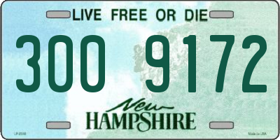 NH license plate 3009172