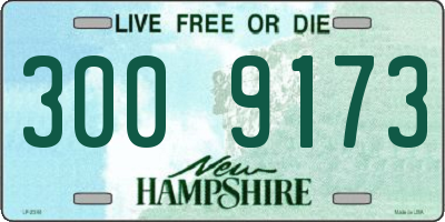NH license plate 3009173