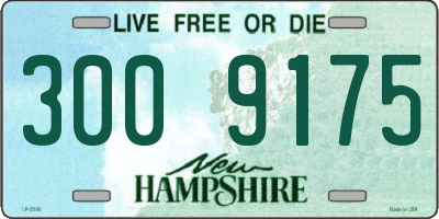 NH license plate 3009175