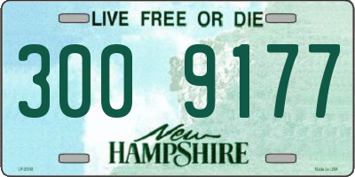 NH license plate 3009177