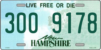 NH license plate 3009178