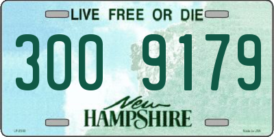 NH license plate 3009179