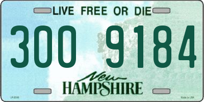 NH license plate 3009184