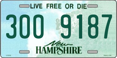 NH license plate 3009187