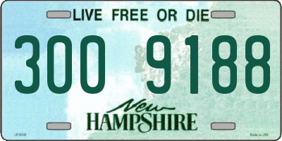 NH license plate 3009188