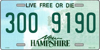 NH license plate 3009190
