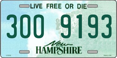 NH license plate 3009193