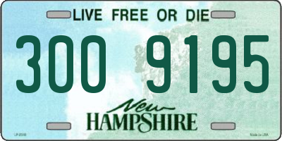 NH license plate 3009195