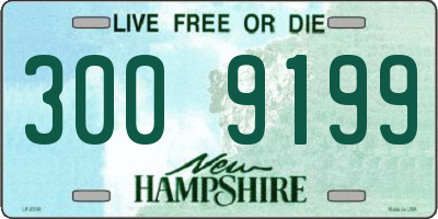NH license plate 3009199